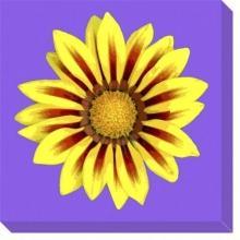 New Canvas Anne Croy Reproduction Canvas Gallery-Wrapped Framed Flowers Pla WA-5