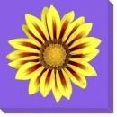 New Canvas Anne Croy Reproduction Canvas Gallery-Wrapped Framed Flowers Pla WA-5