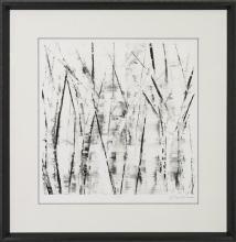 New Original Art Print, Sharon Gordon, Birch Trees, Black/White, Signed/Numbered