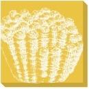 New Canvas C. Hohe Reproduction Canvas Gallery-Wrapped Framed Shells Cora WA-161