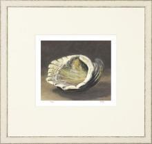New Print Mark Fetty Reproduction Framed Shells Small Shell Study Rectang WA-350