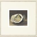 New Print Mark Fetty Reproduction Framed Shells Small Shell Study Rectang WA-350