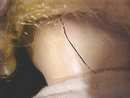Mama Doll Big Eyes Blonde Saran Wig