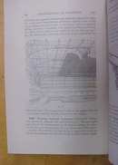 Fireproofing of Buildings Booklet ICS 1920