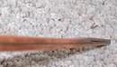 Stanley No. 42 Ship Carpenter's Bevel Rare!