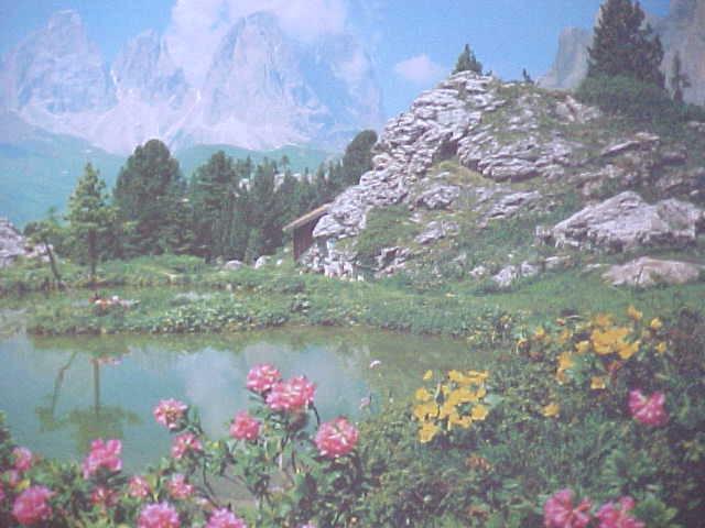 Puzzle Mountains Flowers Lake Germany Trefl