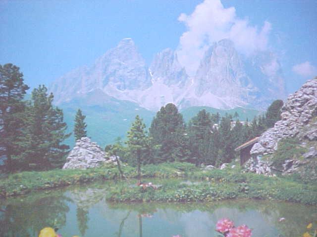 Puzzle Mountains Flowers Lake Germany Trefl