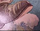 Antique Valentines Card Puppy in Boot