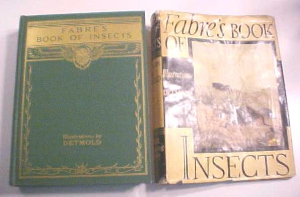 Fabre's Book of Insects Illus by Detmold 1937