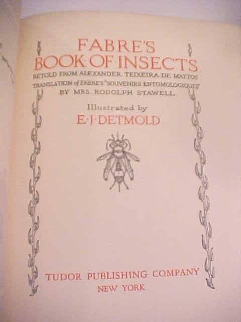 Fabre's Book of Insects Illus by Detmold 1937