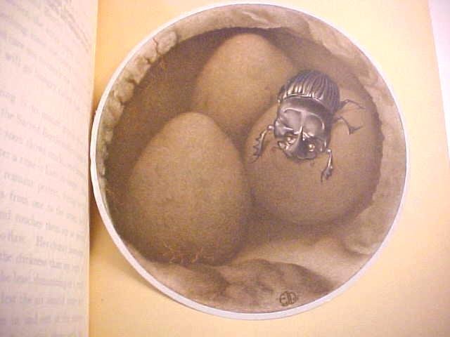 Fabre's Book of Insects Illus by Detmold 1937