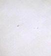 White Linen Tablecloth Embroidery Blue Flowers