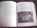 Breads from the La Brea Bakery Nancy Silverton 1st Ed