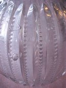 Pressed Glass Water Bottle & Vase