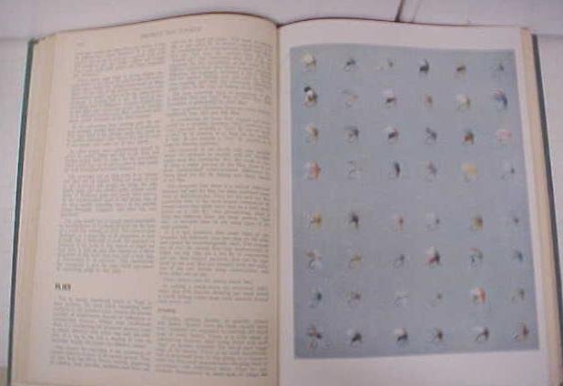 The Standard Book of Fishing Greystone Press 1950