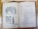 Dictionary of Terms Used in Architecture and Building 1909