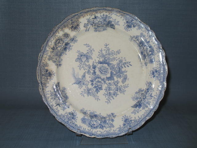 Pitcairns Limited Asiatic Pheasant blue dinner plate