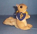Pitt, University of Pittsburgh