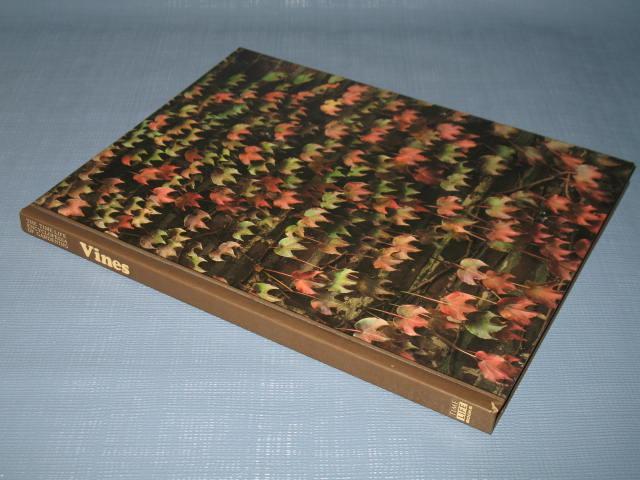 Vines by Richard H. Cravens