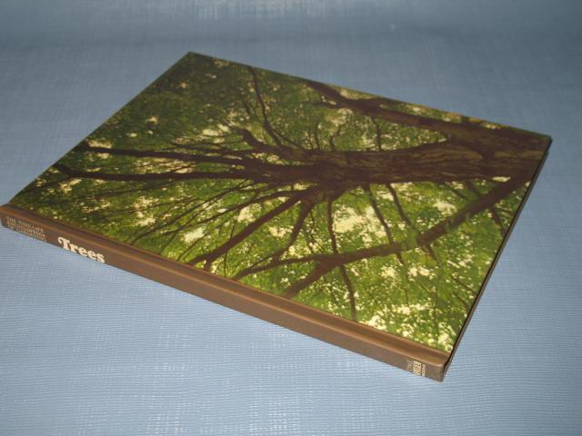 Trees by James Underwood Crockett