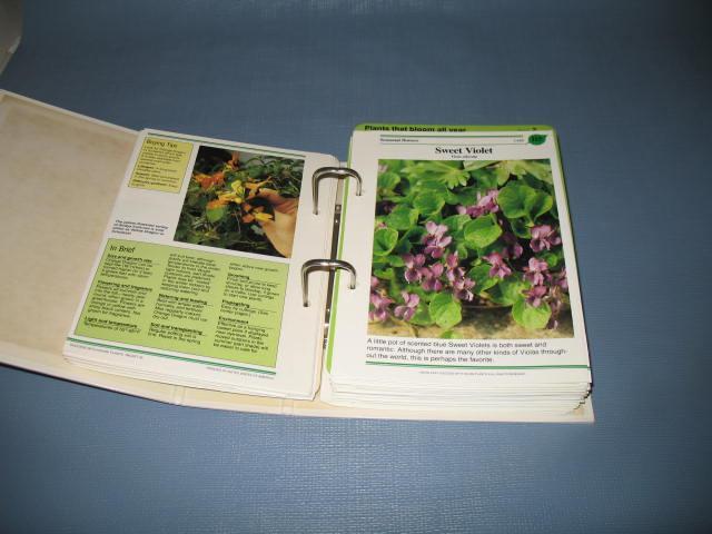Success with House Plants, Book One