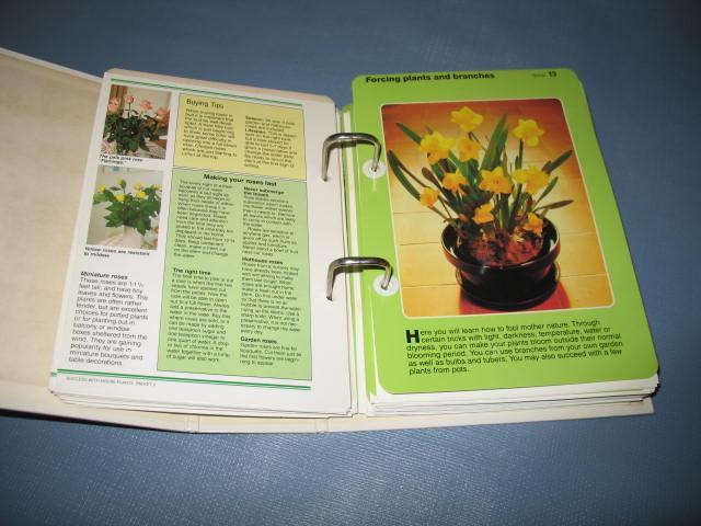 Success with House Plants, Book Two