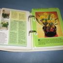 Success with House Plants, Book Two