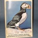 Enjoying Maine Birds published by Maine Audubon Society