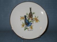 Bayreuther Waldsassen 134 Blue Grisbeak plate