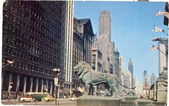 Michigan Avenue Lions, Chicago color photo postcard