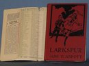 Larkspur by Jane D. Abbott