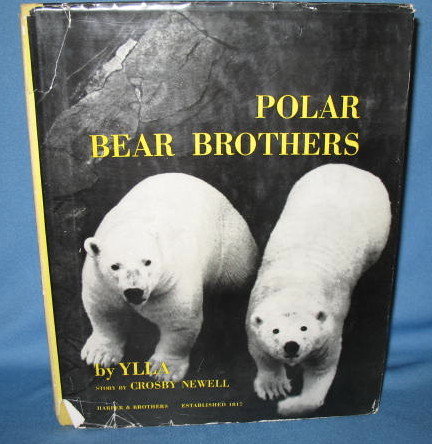 Polar Bear Brothers by Ylla