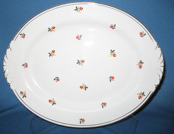 Homer Laughlin Nautilus Cardinal oval platter