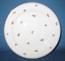 Homer Laughlin Nautilus Cardinal dinner plate