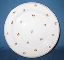 Homer Laughlin Nautilus Cardinal dinner plate