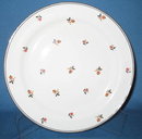Homer Laughlin Nautilus Cardinal luncheon plate