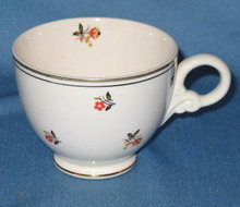 Homer Laughlin Nautilus Cardinal cup
