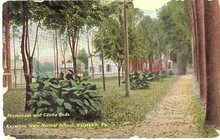 Promenade and Canna Beds, Keystone State Normal School, Kutztown , PA color postcard