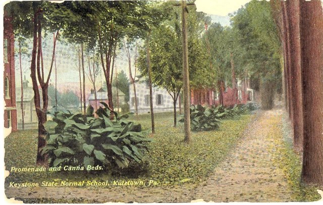 Promenade and Canna Beds, Keystone State Normal School, Kutztown , PA color postcard