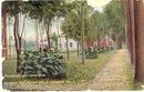 Promenade and Canna Beds, Keystone State Normal School, Kutztown , PA color postcard