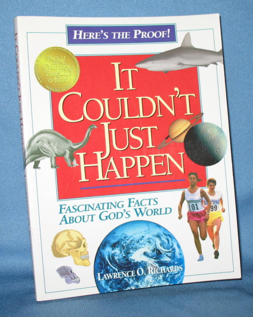 It Couldn't Just Happen by Lawrence O. Richards