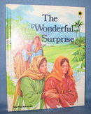 The Wonderful Surprise by Martha Marshall