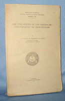 The Type Species of the Genera of Chalcidoidea or Chalcid-Flies by A. B. Gahan and Margaret M. Fagan