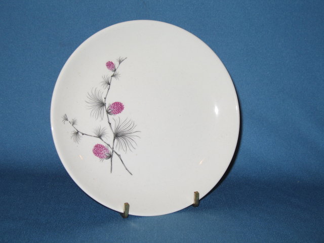 Canonsburg Pottery Wild Clover bread plate