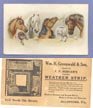 Wm. H. Greenwald & Son, Allentown PA advertising card