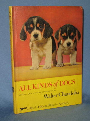 All Kinds of Dogs by Walter Chandoha