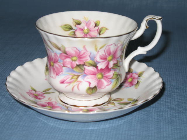 Royal Albert Wild Rose cup and saucer