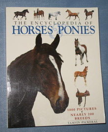The Encyclopedia of Horses and Ponies by Tamsin Pickeral