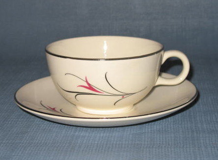Salem China Serenade cup and saucer