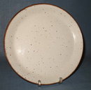 J & G Meakin dinner plate